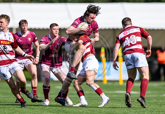 Melrose Sevens
