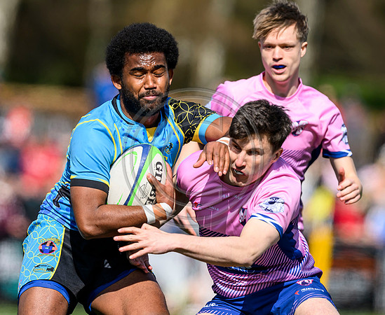 Melrose Sevens