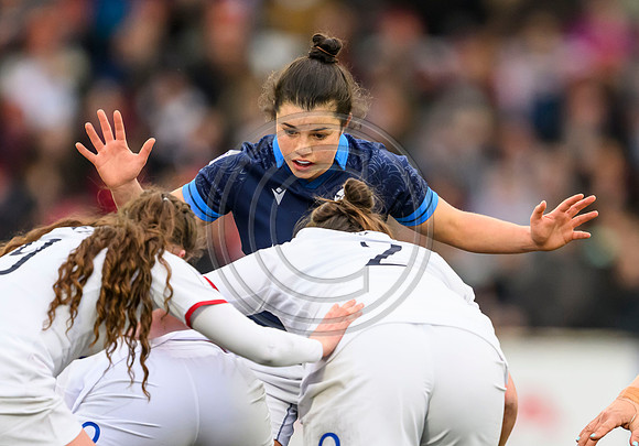 England Women v Scotland Women