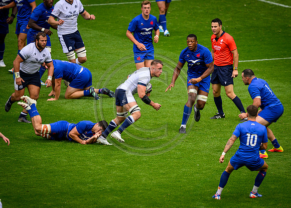 Scotland v France