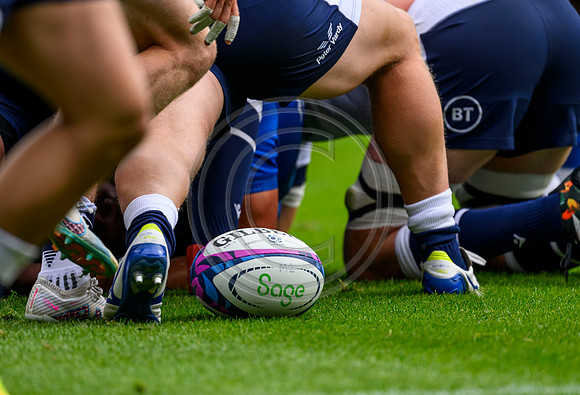 Scotland v France