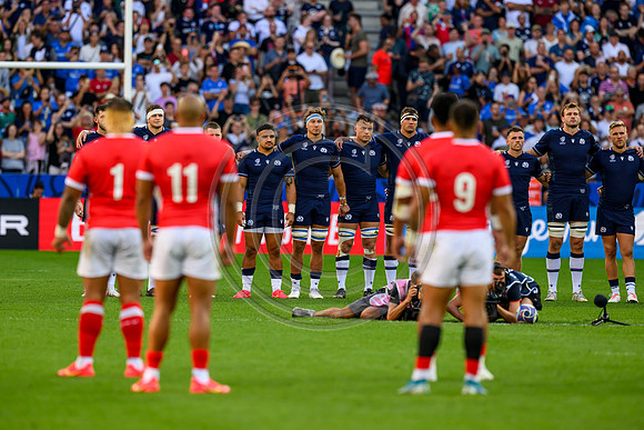 Scotland v Tonga