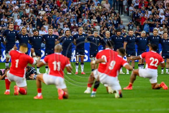 Scotland v Tonga
