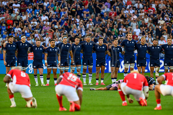 Scotland v Tonga