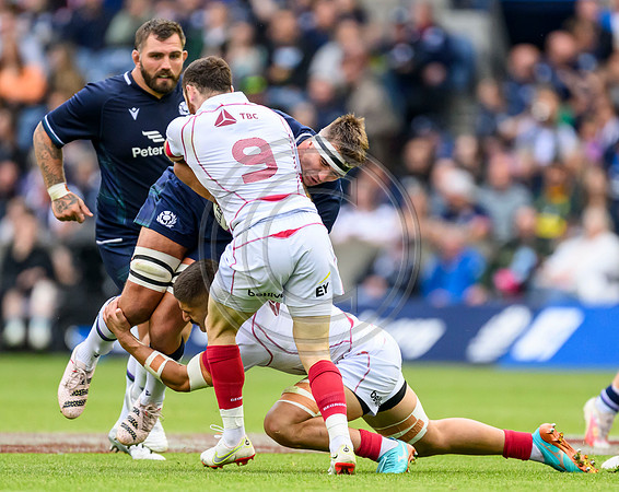 Scotland v Georgia