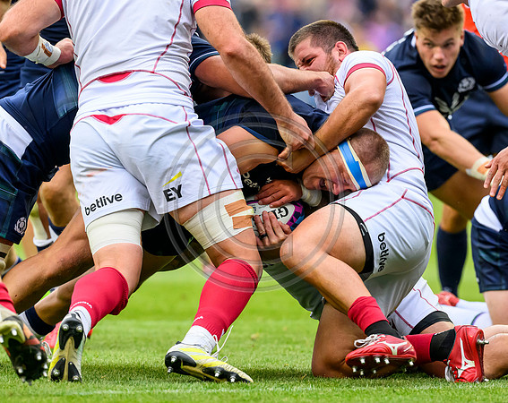 Scotland v Georgia
