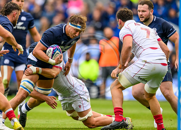 Scotland v Georgia