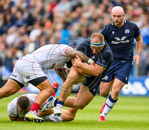 Scotland v Georgia