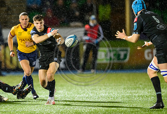 Warriors  v Ulster