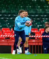 Scotland Captains Run