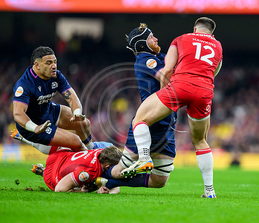 Wales v Scotland