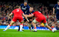Wales v Scotland