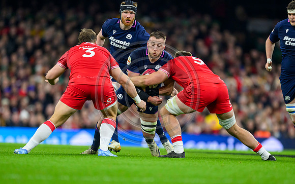 Wales v Scotland