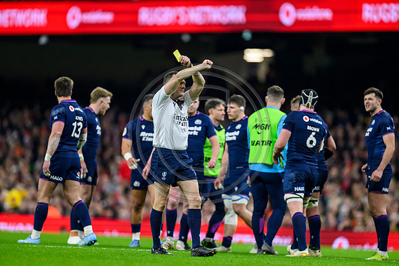Wales v Scotland