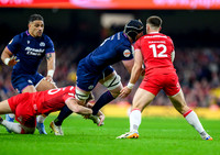 Wales v Scotland