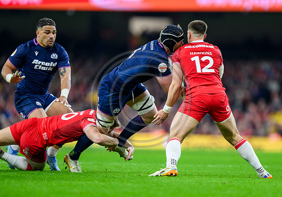 Wales v Scotland