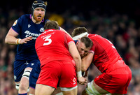 Wales v Scotland