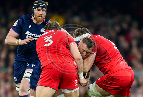 Wales v Scotland