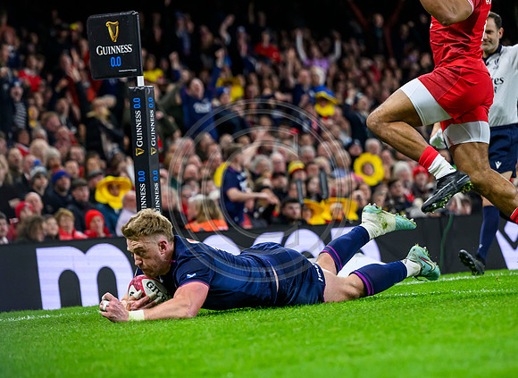 Wales v Scotland