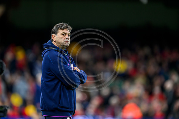 Wales v Scotland