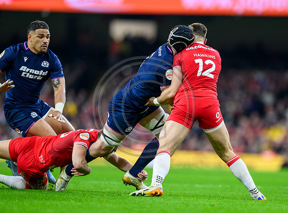 Wales v Scotland
