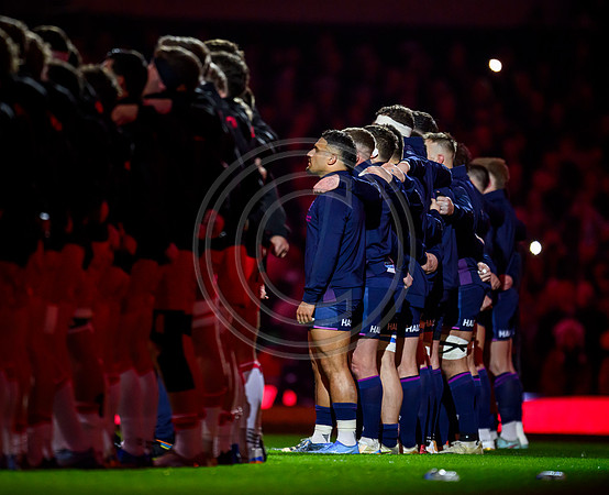 Wales v Scotland
