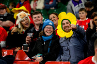 Wales v Scotland
