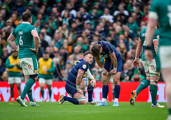 Ireland v Scotland
