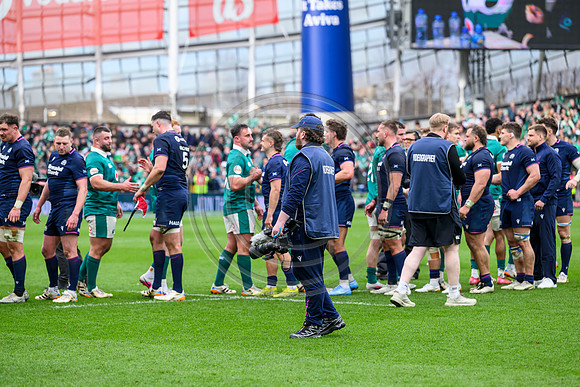 Ireland v Scotland