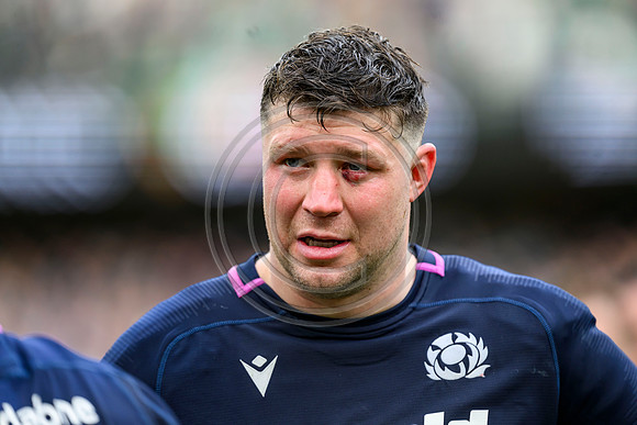 Ireland v Scotland