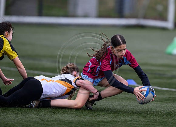 SP Energy Networks Warriors Championships