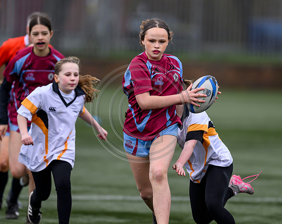 SP Energy Networks Warriors Championships