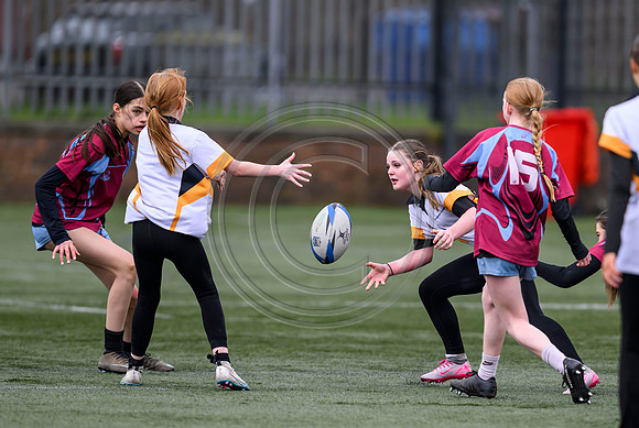 SP Energy Networks Warriors Championships