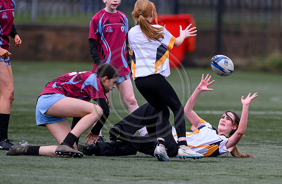 SP Energy Networks Warriors Championships