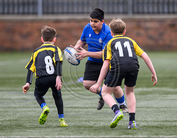 SP Energy Networks Warriors Championships