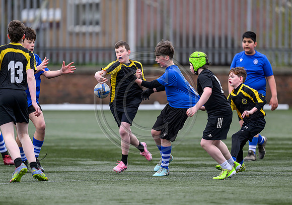 SP Energy Networks Warriors Championships