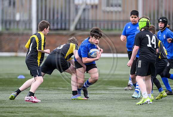 SP Energy Networks Warriors Championships