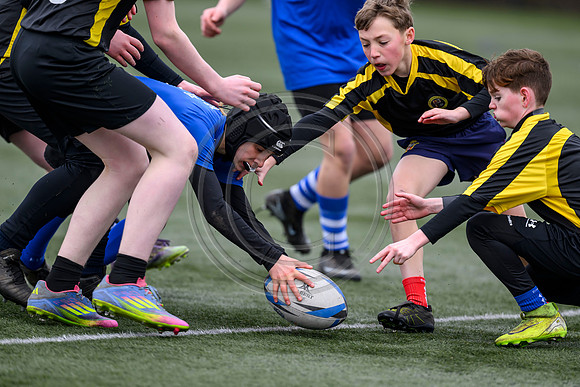 SP Energy Networks Warriors Championships