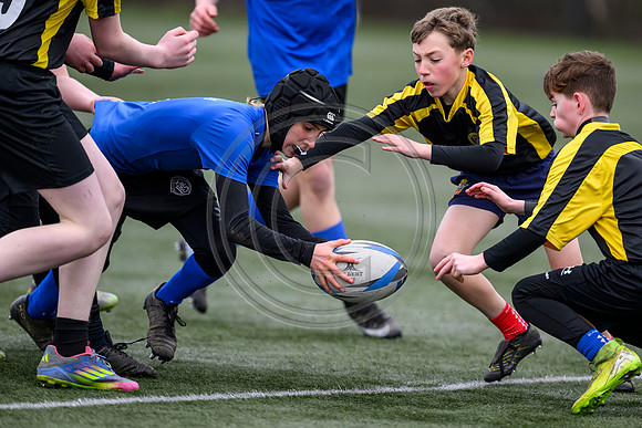 SP Energy Networks Warriors Championships