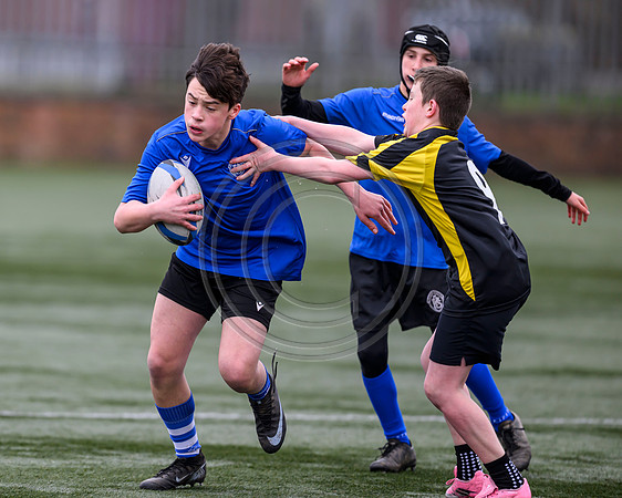 SP Energy Networks Warriors Championships