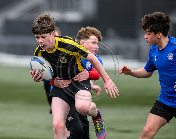 SP Energy Networks Warriors Championships