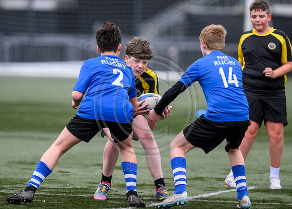 SP Energy Networks Warriors Championships