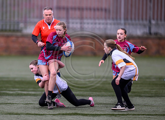 SP Energy Networks Warriors Championships