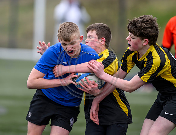 SP Energy Networks Warriors Championships