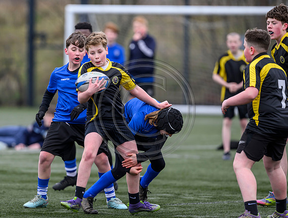 SP Energy Networks Warriors Championships