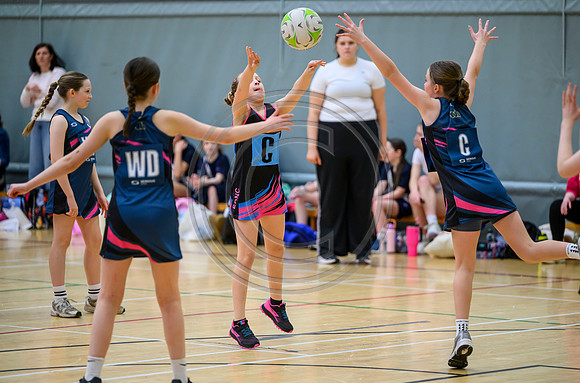 Netball Ambasador Head Shots