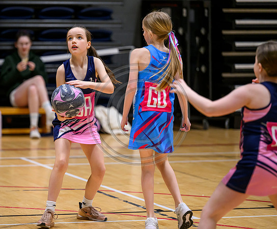 Netball Ambasador Head Shots