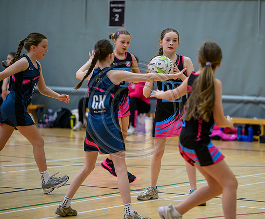 Netball Ambasador Head Shots