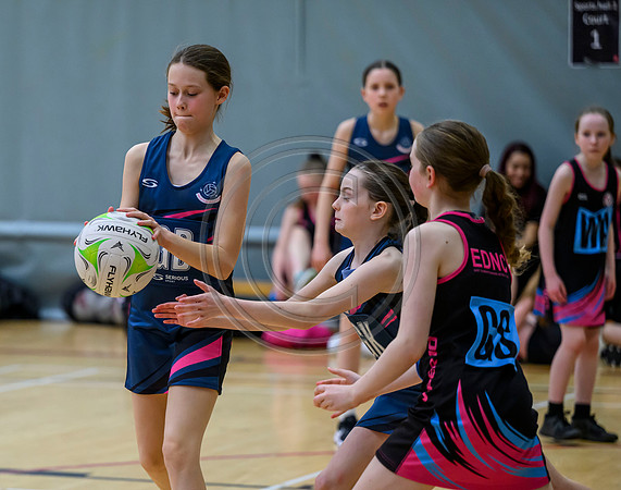 Netball Ambasador Head Shots