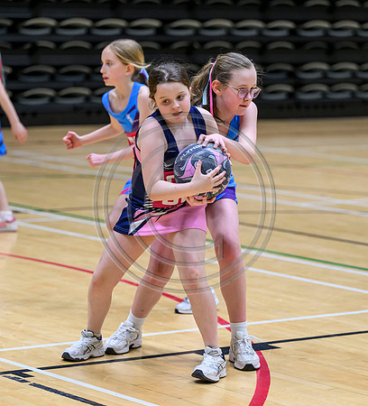 Netball Ambasador Head Shots